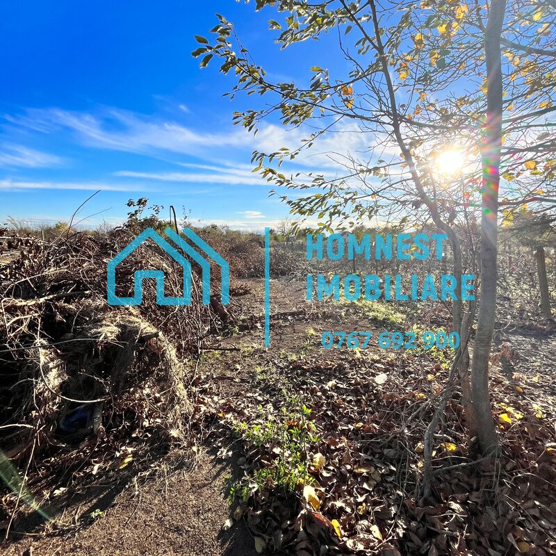 Stefanestii de Jos, Ilfov, teren 996.08 mp.